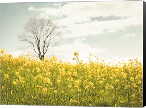 Framed Yellow Meadow Print