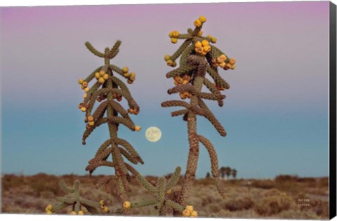 Framed Desert Moonrise Print