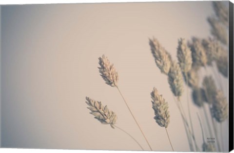 Framed Dried Grass Study Print