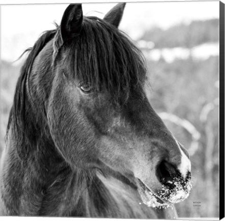 Framed Winter Horse I Print