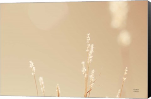 Framed Lakeside Grasses I Print
