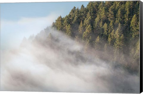 Framed Fog and Forest I Print