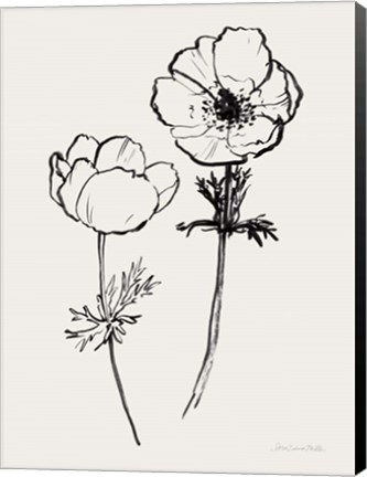 Framed Ink Anemones II Black Print