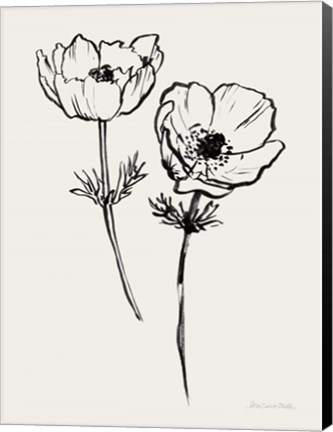 Framed Ink Anemones I Black Print