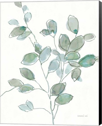 Framed Transparent Branch Eucalyptus Print