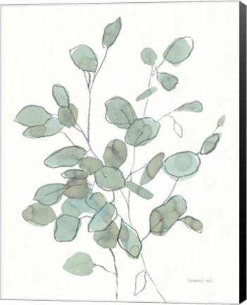 Framed Transparent Leaves Eucalyptus Print