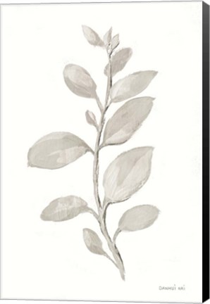 Framed Gray Sage Leaves II on White Print