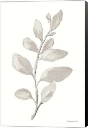 Framed Gray Sage Leaves I on White Print