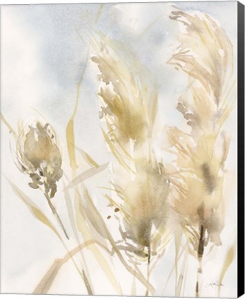 Framed Pampas Grasses III Print