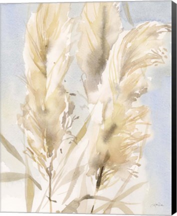 Framed Pampas Grasses II Print