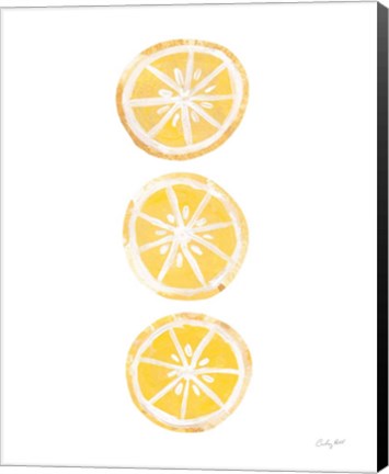 Framed Lemon Slices II Print