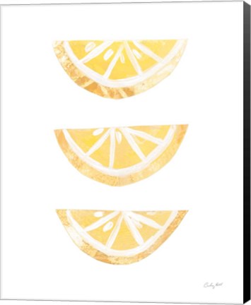 Framed Lemon Slices I Print