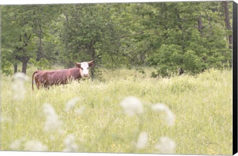 Framed Summer Farm II Print