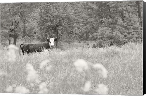 Framed Summer Farm II BW Print