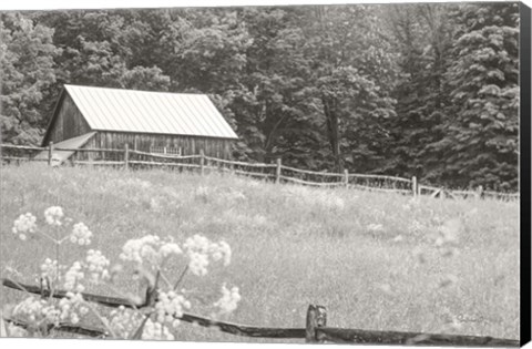 Framed Summer Farm I BW Print