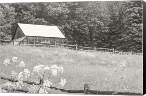 Framed Summer Farm I BW Print