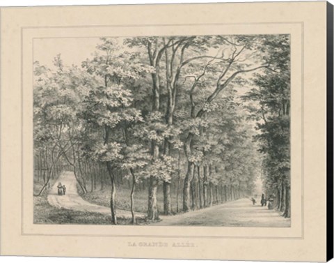 Framed French Park Etching II Print