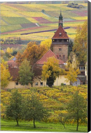 Framed Church And Vineyards, Germany Print