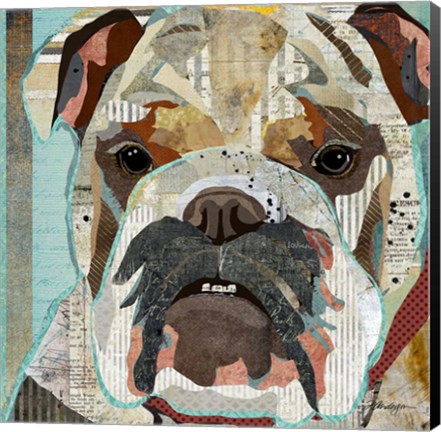 Framed English Bulldog Print