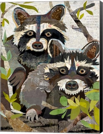 Framed Raccoons Print