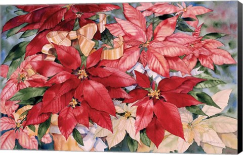 Framed Poinsettia Print