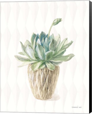 Framed Desert Greenhouse XV Print