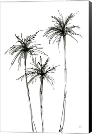 Framed Shadow Palms IV Print