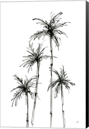 Framed Shadow Palms III Print