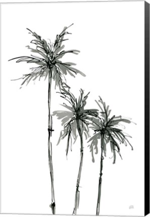 Framed Shadow Palms II Print