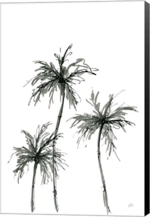 Framed Shadow Palms I Print