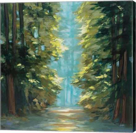 Framed Sunlit Forest Print