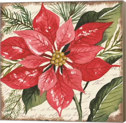 Framed Red Poinsettia Botanical Print