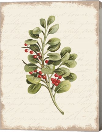 Framed Berries Christmas Botanical Print