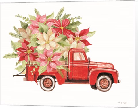 Framed Poinsettia Pickup Print