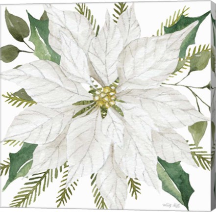 Framed White Poinsettia Print