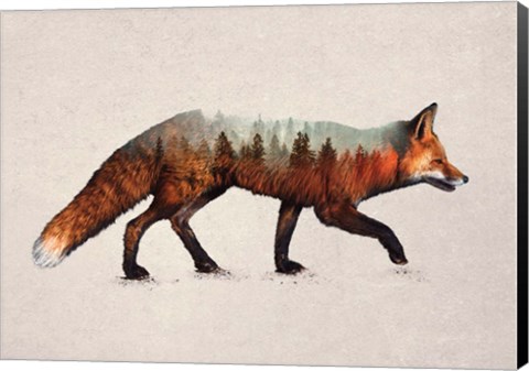 Framed Red Fox Print