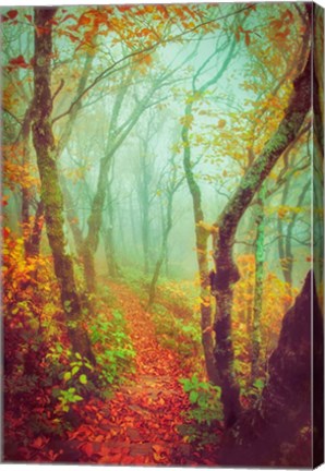 Framed Fairytale Fall Pathway Print