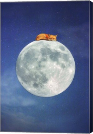 Framed Fox Sleeping on Moon Print