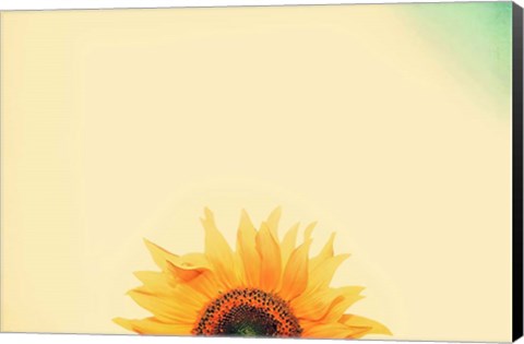 Framed Sunflower Sunrise Print