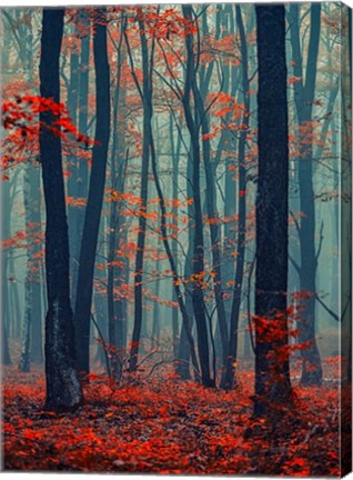 Framed Autumn Forest In The Mist Print