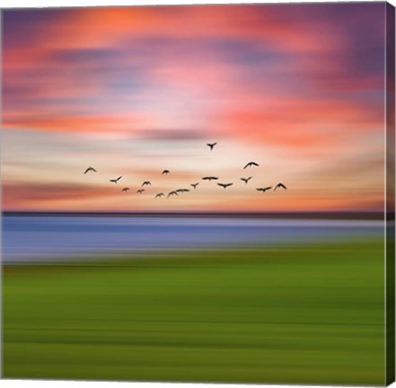 Framed Birds In The Sunset Print