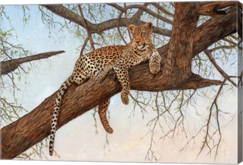 Framed Leopard In Tree Print