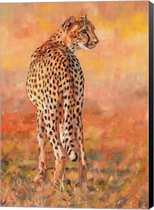 Framed Cheetah Midday Sun Print