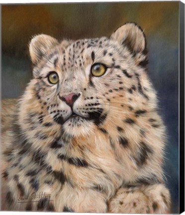 Framed Snow Leopard 6 Print