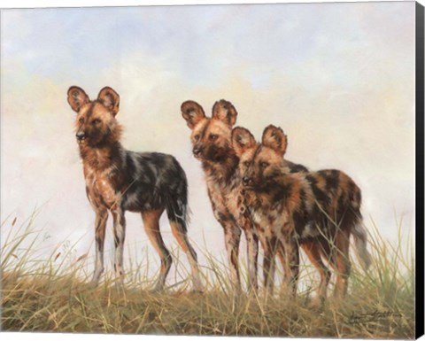 Framed 3 African Wild Dogs Print