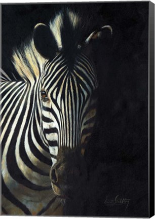 Framed Zebra Fade To Black Print