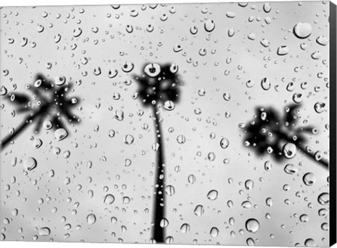 Framed Rainy Daze Print