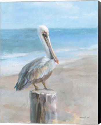 Framed Pelican by the Sea Print