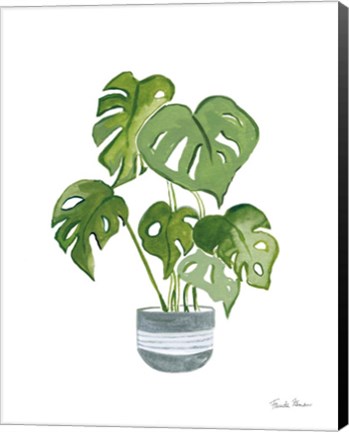 Framed Green House Plants II Print