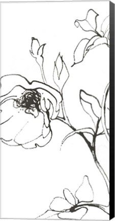 Framed Sketch of Roses Panel I Print